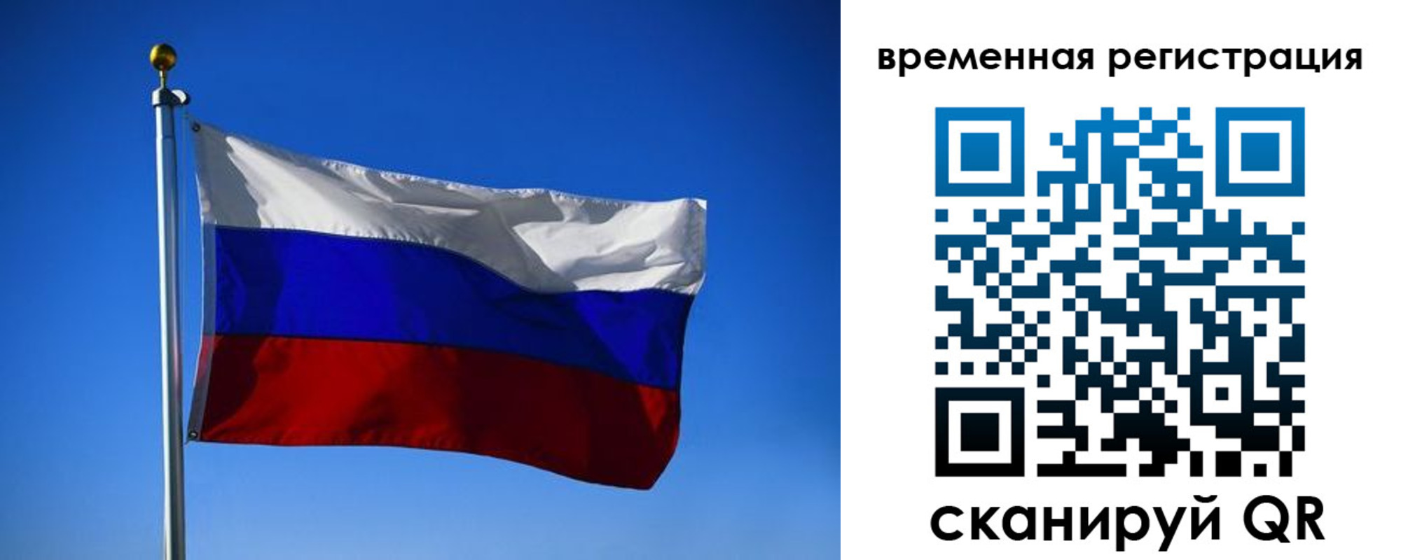 прописка штамп в Домодедово